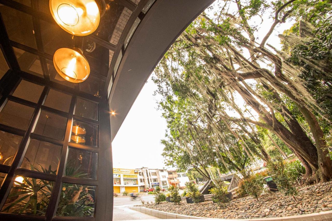 Hotel Cavalta Medellín Exterior foto The Banyan Tree at the University of California, Santa Cruz